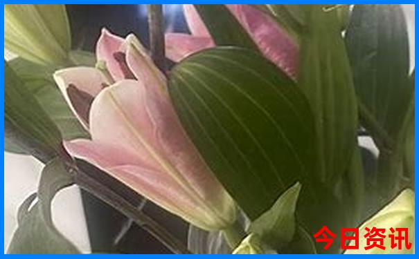 荆门免费自驾游景点